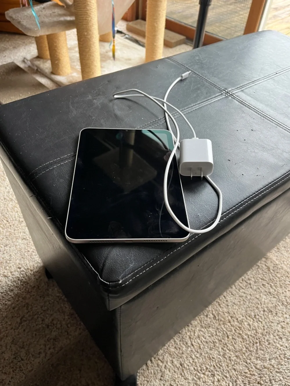 Apple iPad Tablet - Black Front with Blue-Green Display